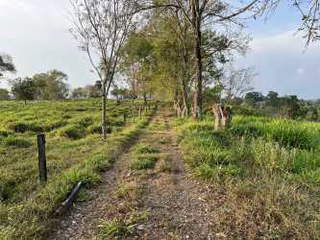 Agricultural Land / Livestock Farm for Sale in El Santo - 1 bedroom