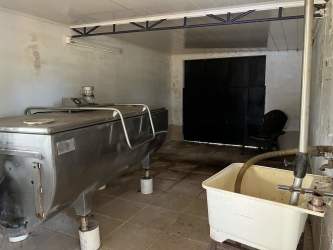 Interior of dairy milking parlor with metal railings and equipment in Bugaba Panama