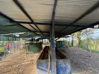 Shipping container apartment for farm workers covered with metal roof in Panama