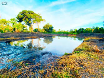 Clean mountain water spring and greenery on Monte Lirio farm Chiriqui Panama