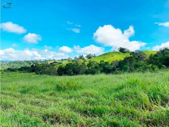 Fertile farmland and rolling fields in Tierras Altas district Panama