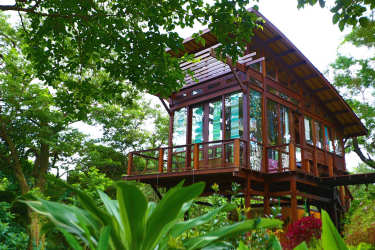 Rustic outdoor gourmet kitchen with barbecue and views of lush gardens in mountain estate