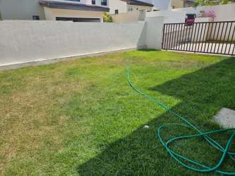 Sunny backyard with grass lawn, white wall and metal gate in PH Nativa Panama Pacifico