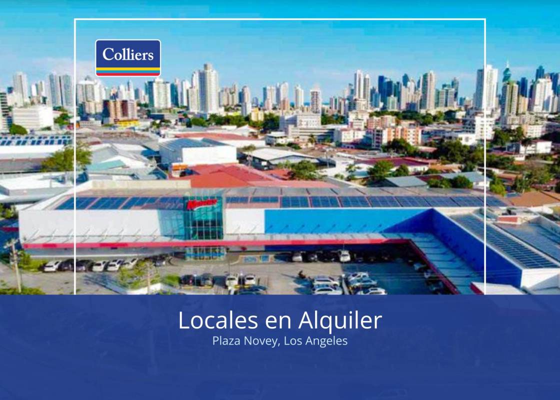 Retail Commercial Space Plaza Novey Vía Transístmica Panama