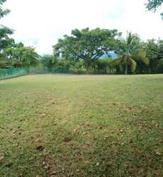Open flat fenced grassy area with trees perfect for beach home near Coronado Panama