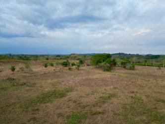 Ranch of 26.4 ha near Divisa with farmhouses in Soná - View 3
