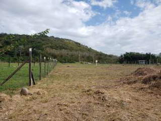 Land for Sale in La Pintada - 0 bedrooms