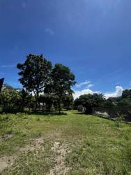 Large plot with mature trees shade space in Coronado beach development for sale