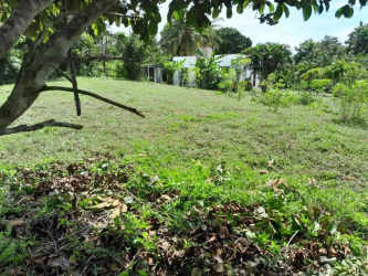 Large green yard with trees near beach, ideal for house construction in Rio Mar San Carlos Panama