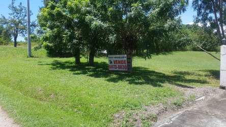 Spacious grass-covered vacant lot with trees inside Coronado beach golf community Panama