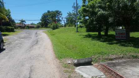 Vacant grassy lot with mature trees inside private beach golf community Coronado Panama