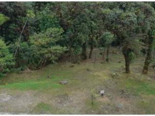 Land for Sale in Chame - 0 bedrooms