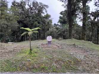 Investment opportunity mountain land with natural landscape in Altos del María.