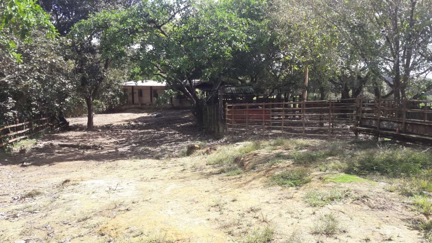 Dense tropical forest within farmland preserving biodiversity water source view Chepo Panama
