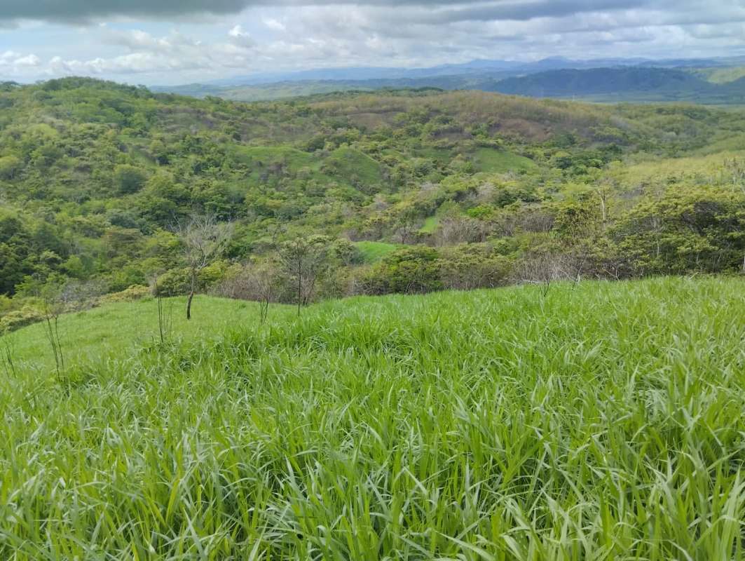 Aerial shot of lush green hill terrain ideal ranch land in Chepo near Llano Cartí highway Panama