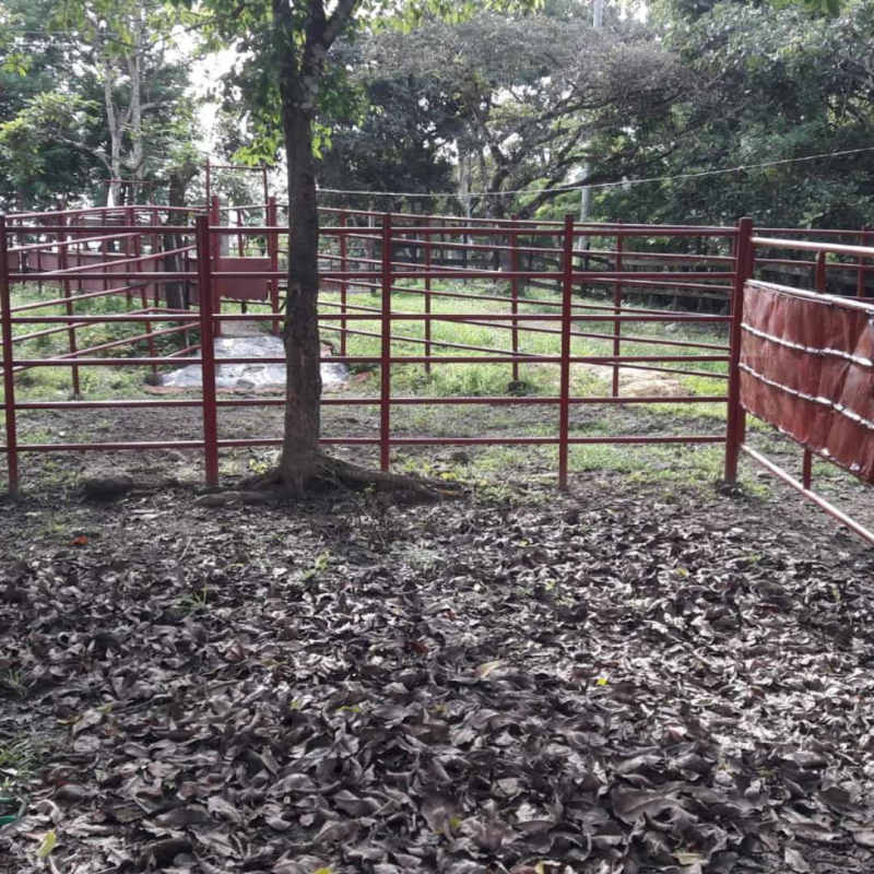 Agricultural livestock corral fenced in property suited for farming and cattle in Panama