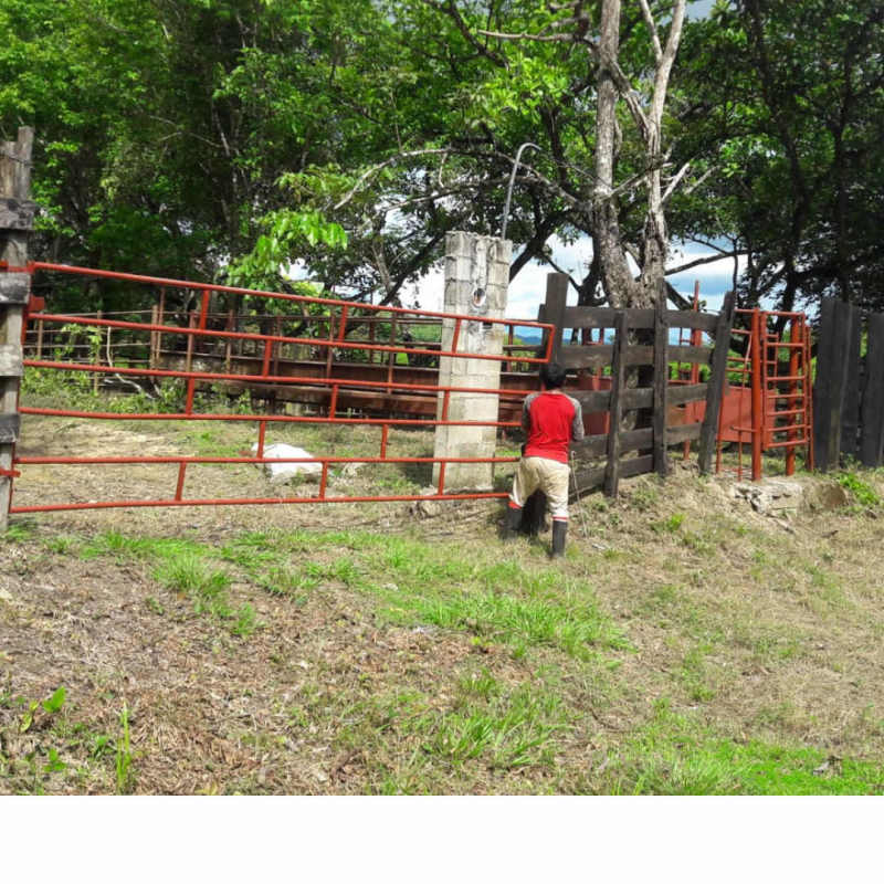 Fenced corral with metal gates livestock area capability in ranch Chepo Panama