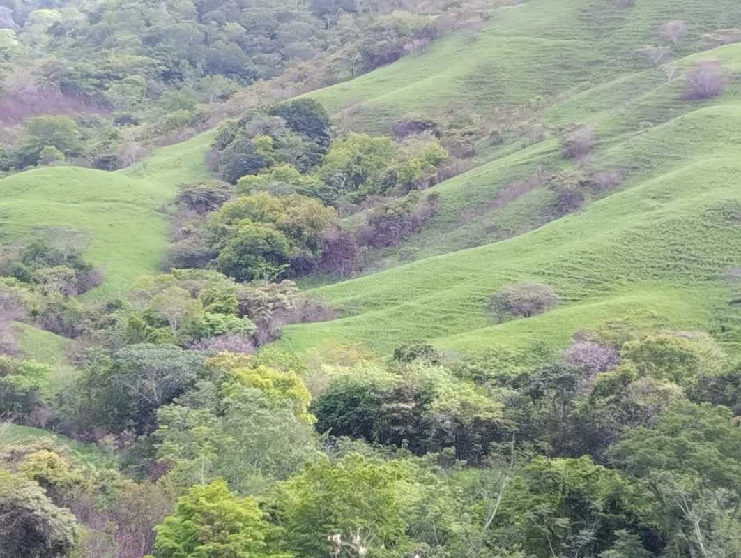 Lush rolling hills and mixed forest terrain ideal for ranch farm or eco project in Chepo Panama