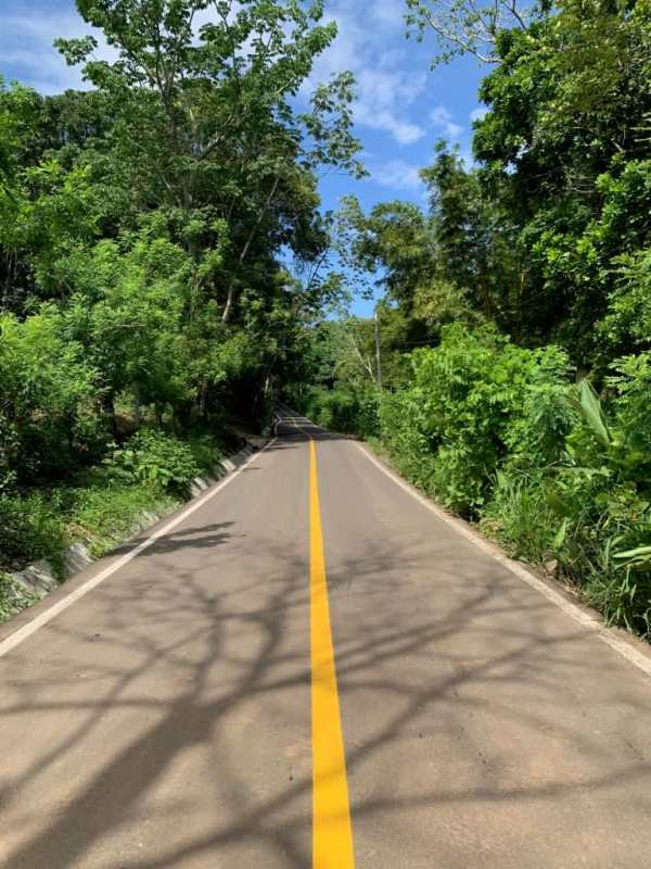 Paved road through wooded area providing access to development site Pedregal Panama