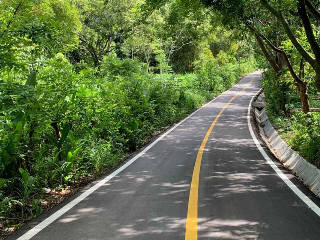 Green forest landscape across flat terrain development land Pedregal Panama