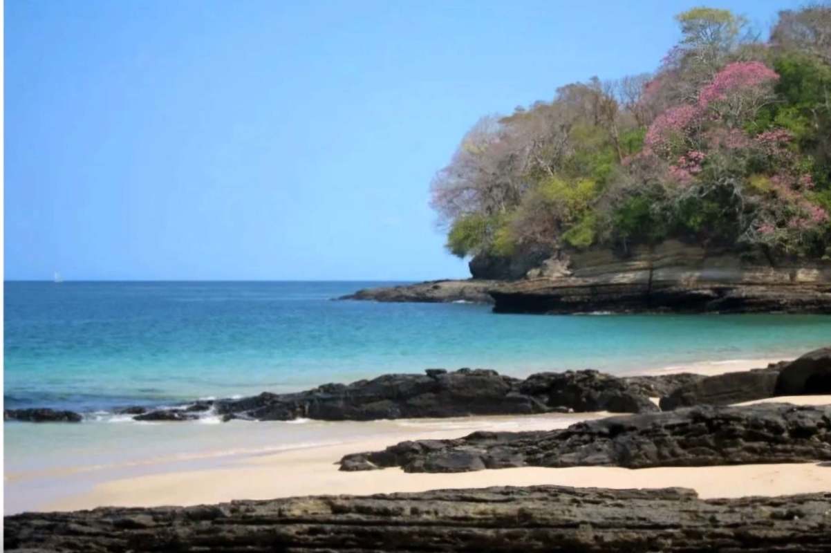 Outdoor terrace with oceanfront view Isla Saboga