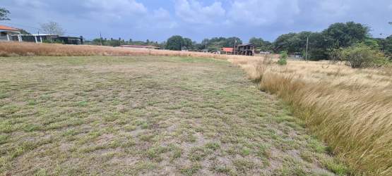 Grassy countryside plot with distant neighborhood homes near Coronado Beach Panama