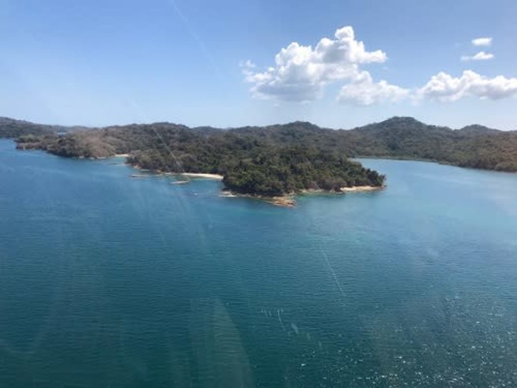 Lush tropical island forest bordered by turquoise waters Isla del Rey Panama