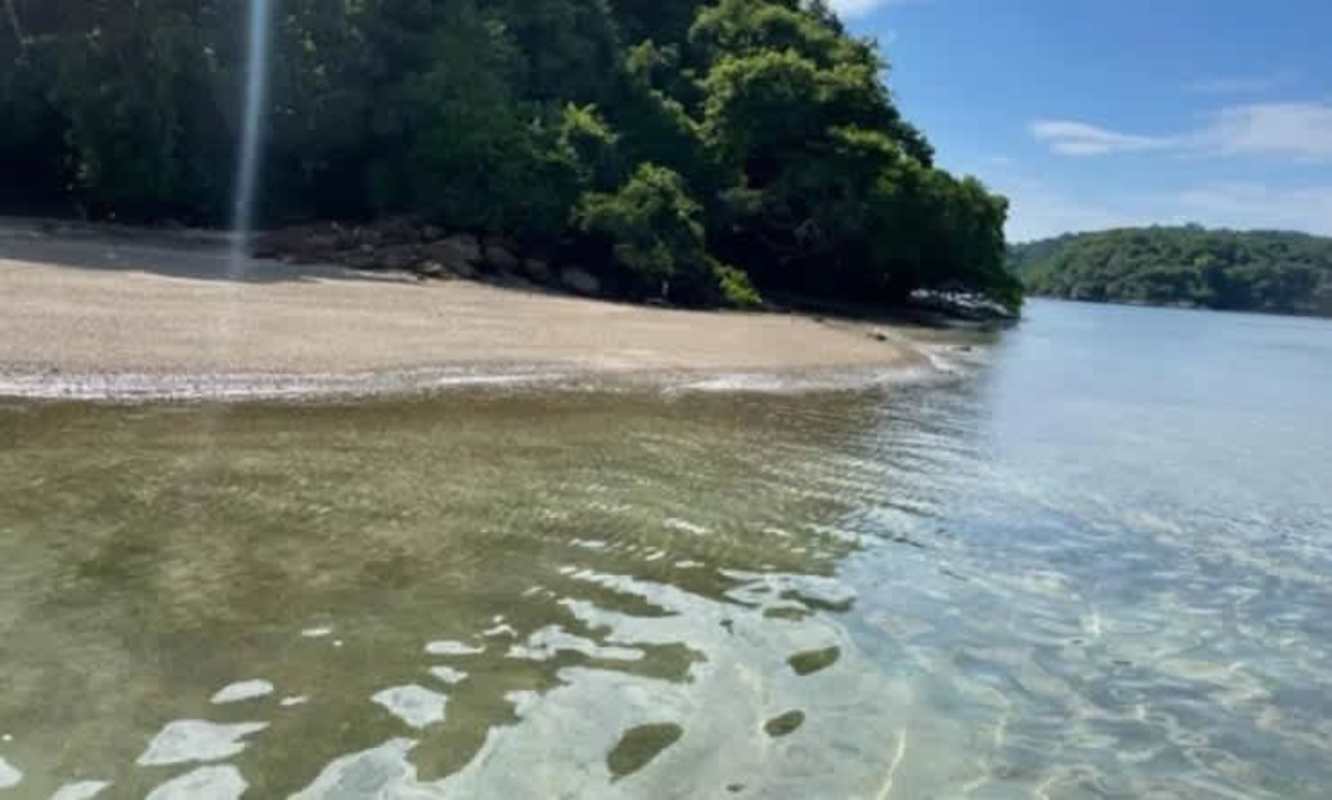 Quiet tropical beach backed by dense forest coastal island Panama