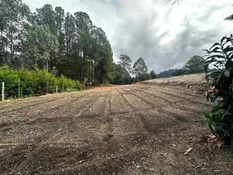 Cleared plot bordered by trees in Paso Ancho Volcán Chiriquí Panama for development