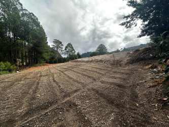 Countryside land parcel with tree line and mountain background in Paso Ancho near Volcán Panama