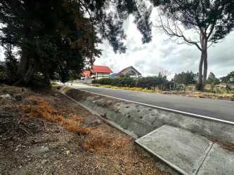 Neighborhood with roadside lots trees and red roof houses Paso Ancho Chiriquí Panama