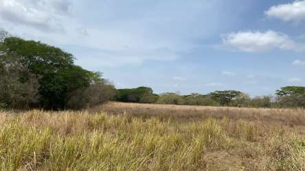 Rural farmland with wooden fence dry grass and trees in Coclé Panama