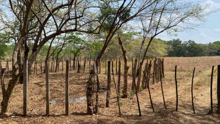 Lush pasture with dense wooded area rural Coclé Panama riverfront land