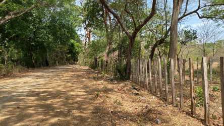 Grassy cultivated farmland with timber trees on flat Coclé Panama acreage