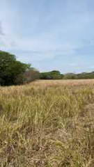 Land for Sale in Río Grande - 0 bedrooms