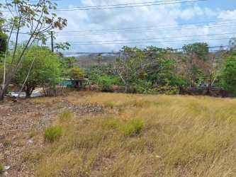 Vacant corner land with trees along major highway in Sajalices Panama
