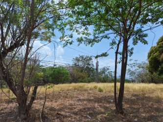 Vacant corner plot with trees and utility poles ready for development in Panama