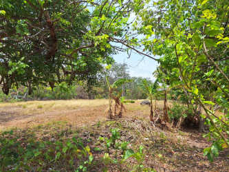 Large corner roadside lot in Panama ready for development with vegetation and highway