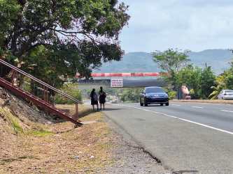 Natural roadside landscape with trees and paved road in Sajalices Panama Oeste