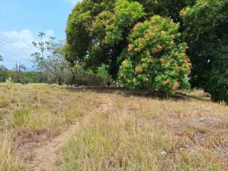 Open cleared land with highway access ideal for development in Panama Oeste