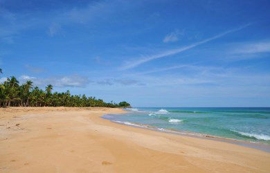 Diagram of beachfront land plots at Playa San Blas Caribbean Panama for development