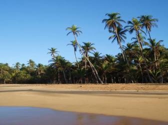 14ha Beachfront Land San Blas Caribbean Panama
