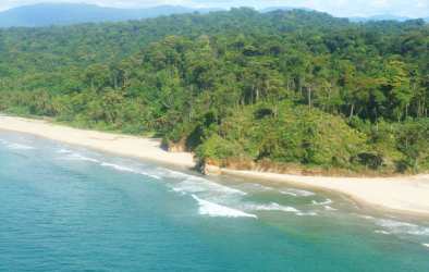 Lush rainforest meeting white sand beach in Playa Blanca Caribbean Panama
