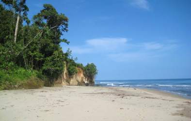 Aerial tropical coastline with sandy white beachfront and lush rainforest in Playa Blanca Veraguas Panama