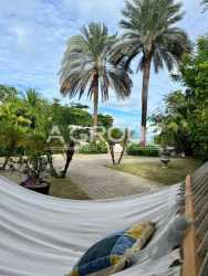 Hammock and palm trees in tropical garden in beachfront residence Panama