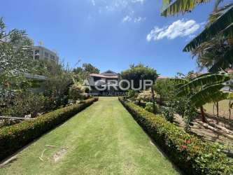 Lush manicured tropical garden with palm trees in luxury beachfront estate