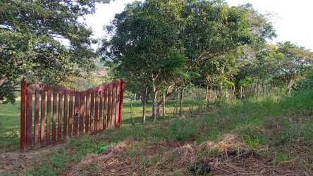 Fence and natural grassy terrain on countryside lot Potrero Grande La Chorrera Panama