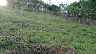 Land Plot for Sale in Potrero Grande - 0 bedrooms
