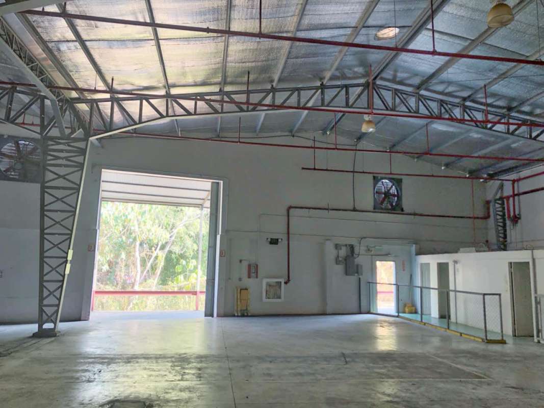 Spacious interior of 8m high ceiling warehouse with steel beams in Zona Franca Albrook Panama
