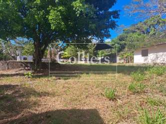 Large land parcel with trees ideal for warehouse or retail strip near Divisa crossing Panama